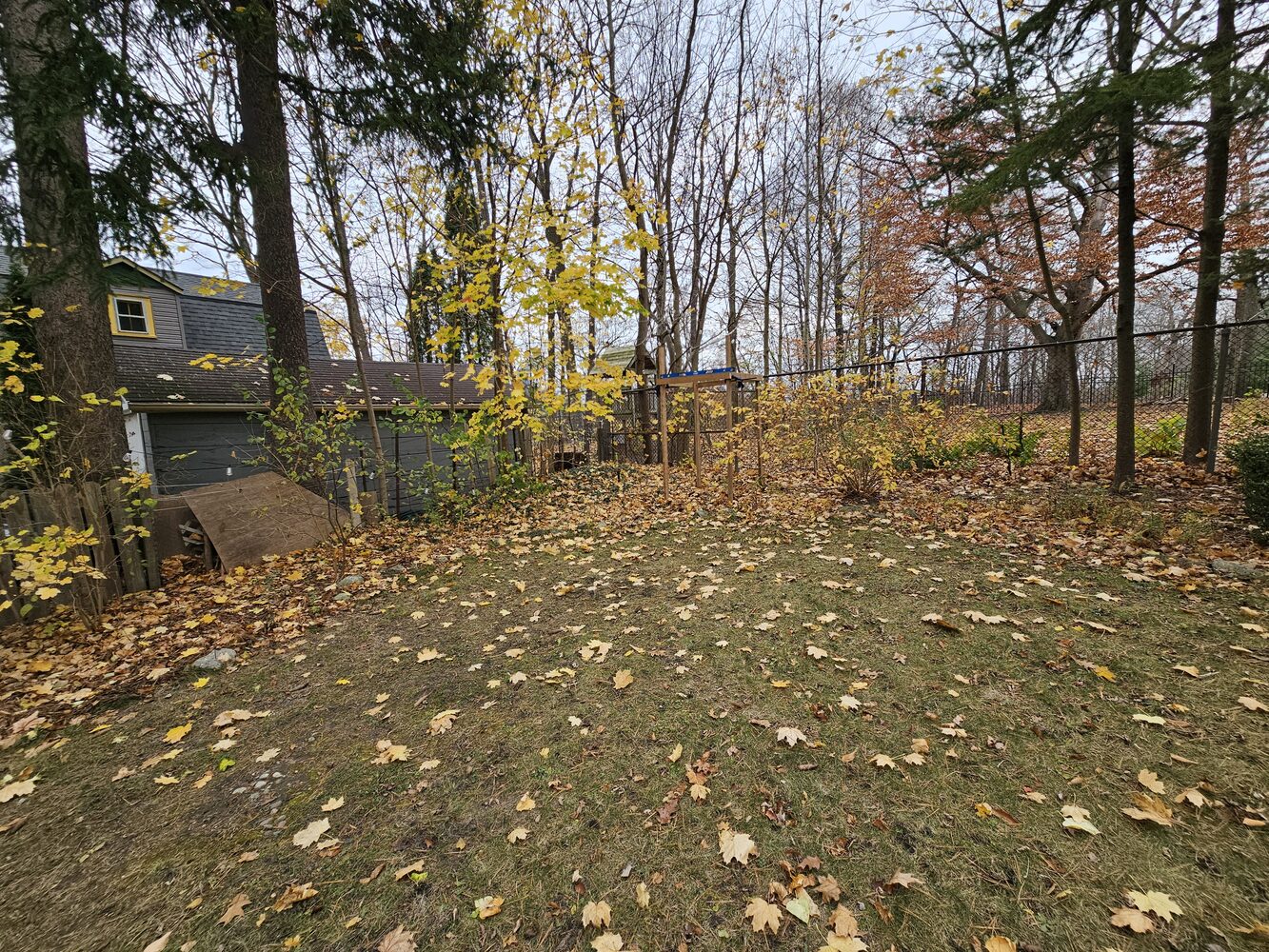 The empty yard