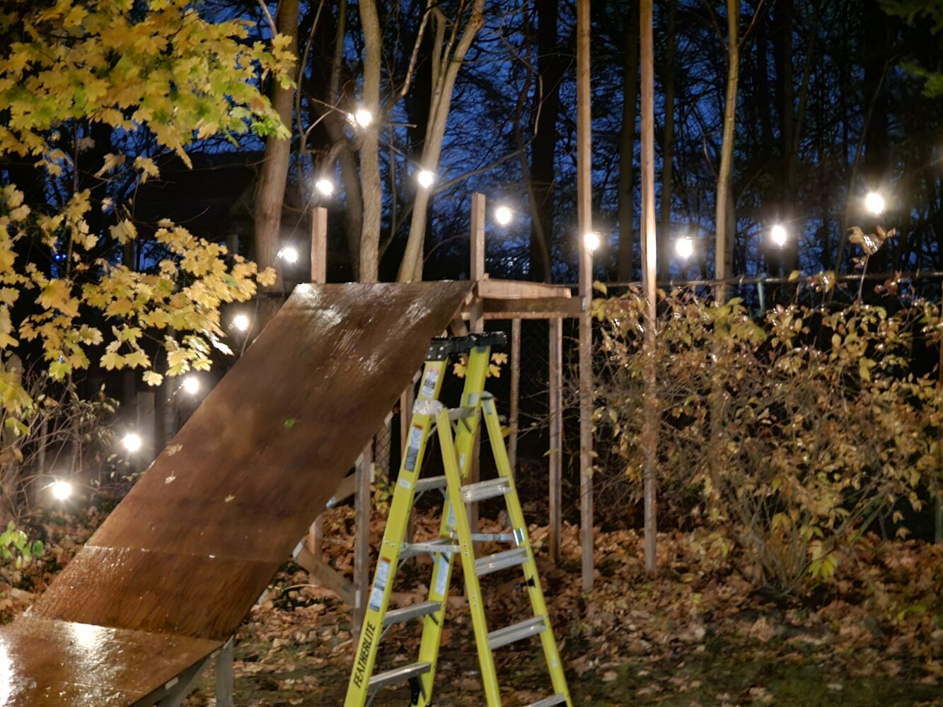 Night build session